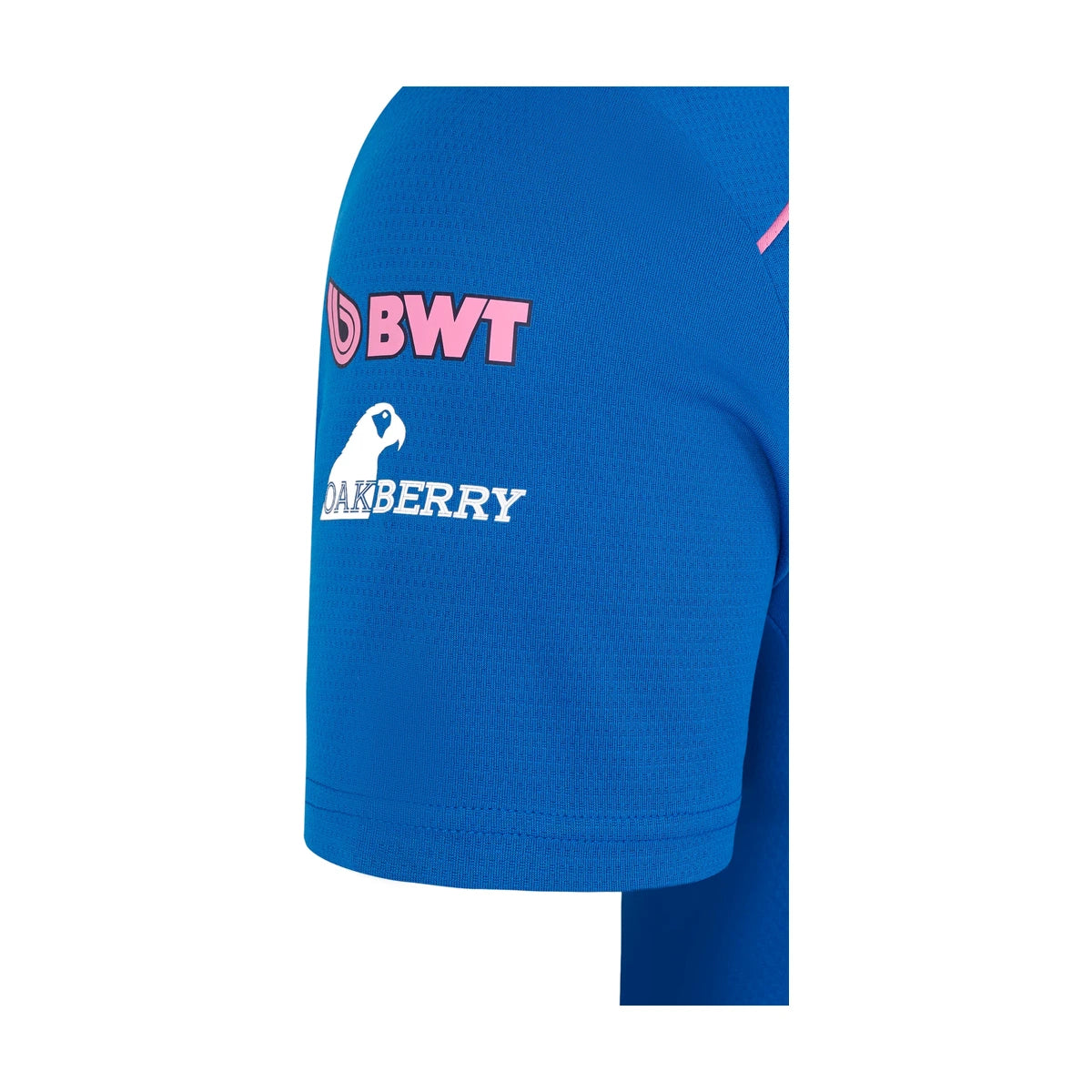 POLERA ALPINE F1 MENS REPLICA TEAM SET UP TEE BLUE