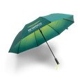 PREVENTA Paraguas Aston Martin F1 FW Umbrella - Green